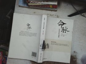 命脉(中国水利调查)