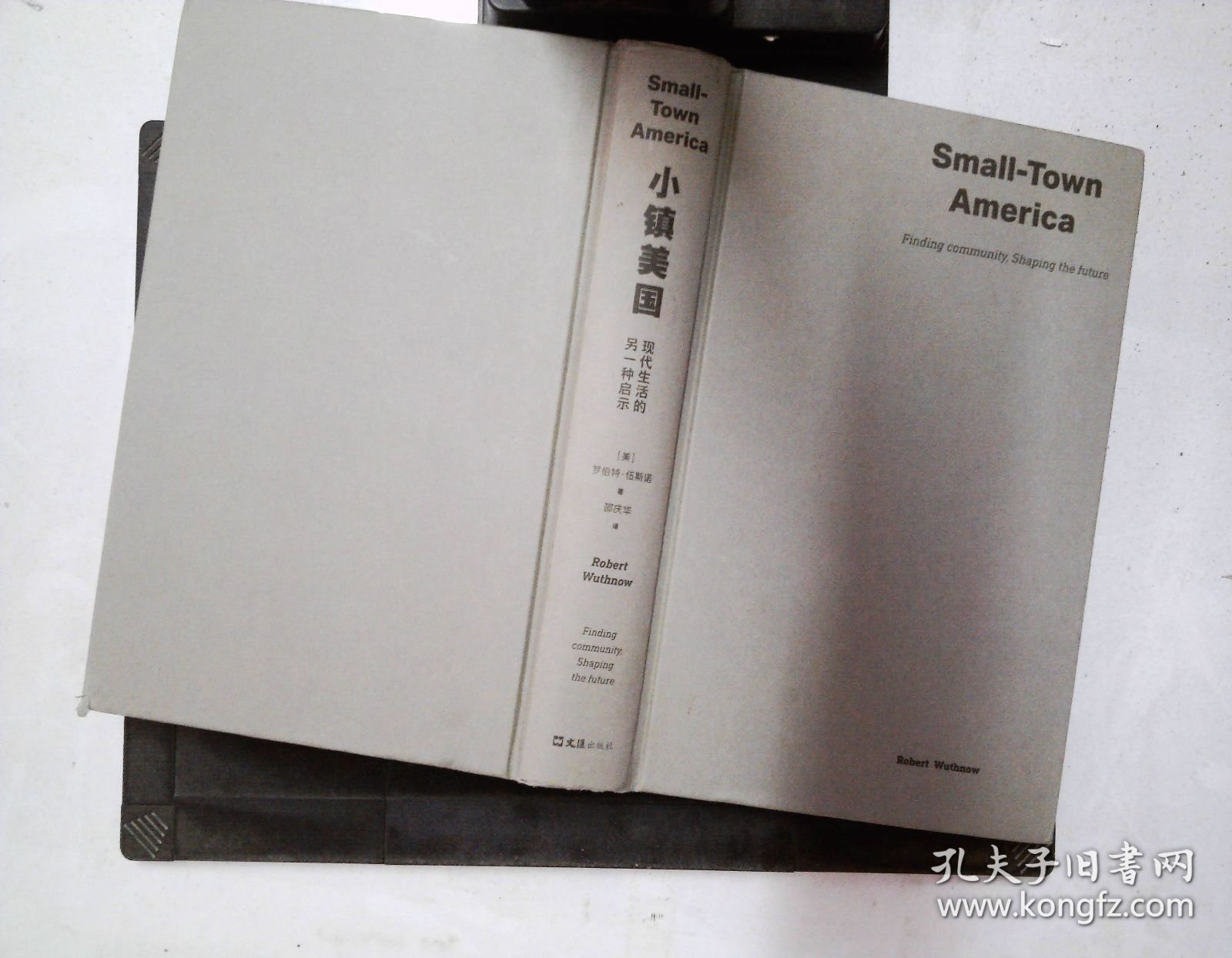 小镇美国:现代生活的另一种启示