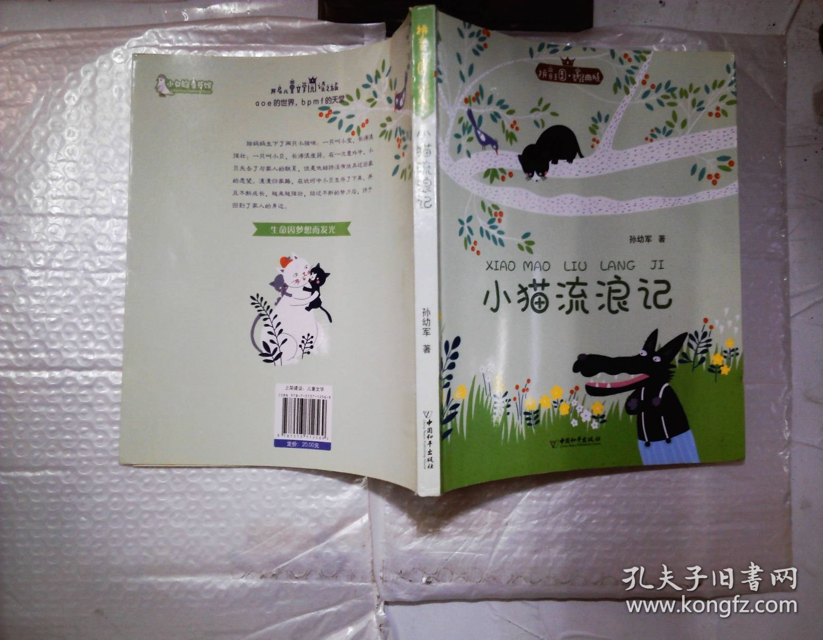 拼音王国·名家经典书系——小猫流浪记