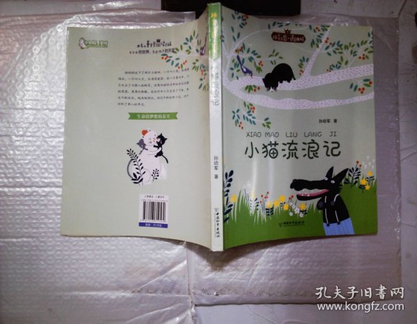 拼音王国·名家经典书系——小猫流浪记
