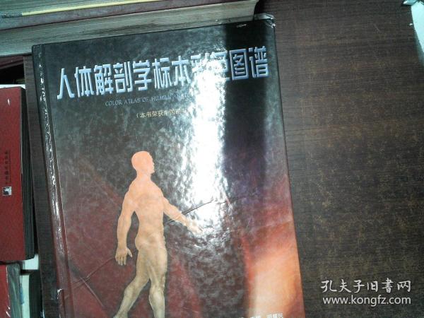 人体解剖学标本彩色图谱