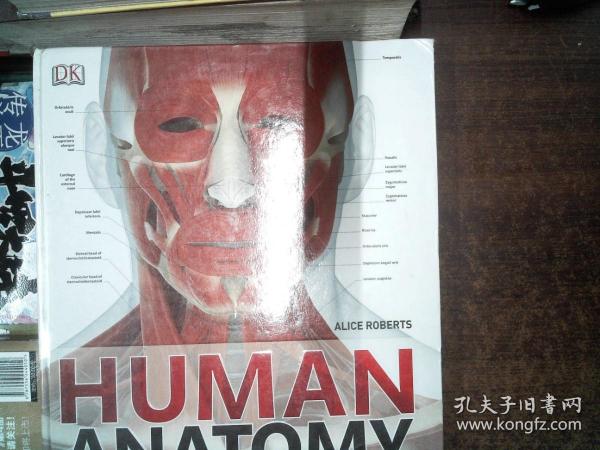HUMAN ANTOMY