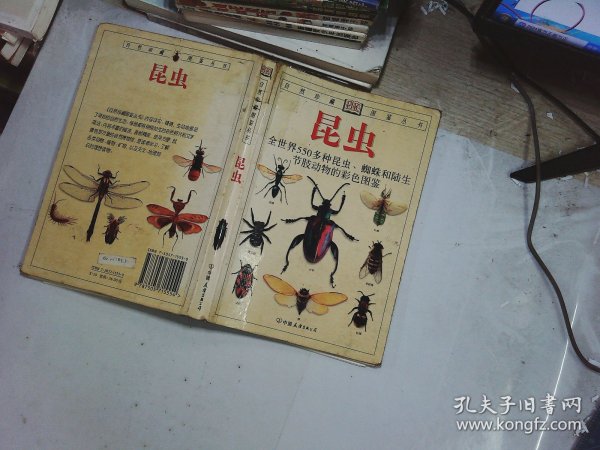 昆虫：全世界550多种昆虫、蜘蛛和陆生节肢动物的彩色图鉴