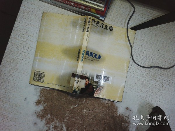 叶兆言文集――风雨无乡