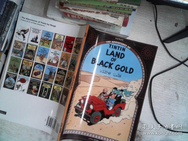 The Adventures of Tintin: Land of the Black Gold  丁丁历险记系列：黑金地带  