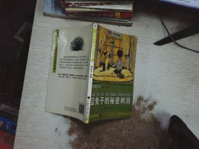 分级阅读·三年级（小白兔姑娘）