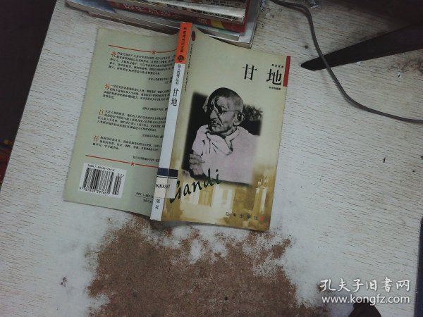 甘地——布老虎传记文库·巨人百传丛书：政治家卷