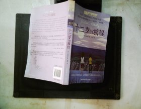 长青藤国际大奖小说：十二岁的旅程