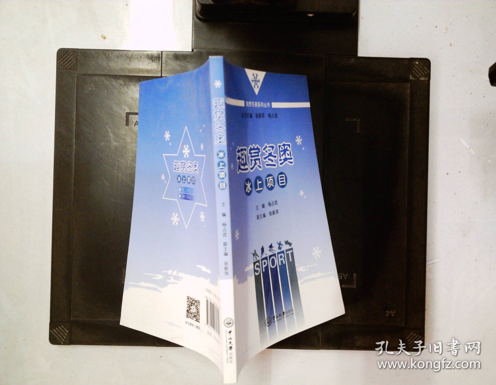 趣赏冬奥：冰上项目