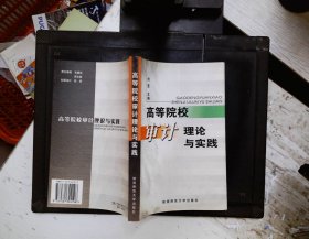 高等院校审计理论与实践