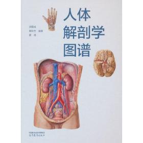 人体解剖学图谱（