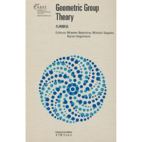 Geometric Group Theory几何群论：英文