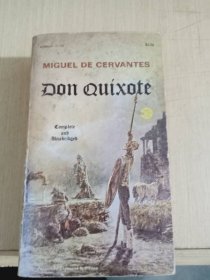 don quixote