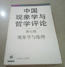 中国现象学与哲学评论　第七辑