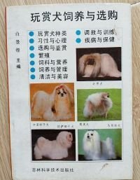 玩赏犬饲养与选购