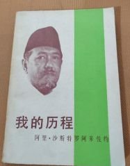 我的历程　沙斯特罗阿米佐约