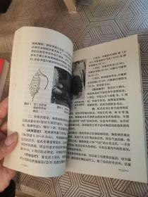 林如阔争骨经略