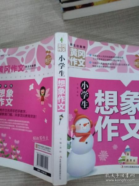 黄冈作文-小学生想象作文