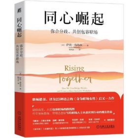 同心崛起：弥合分歧、共创包容职场（精装）