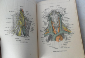 稀见民国初版一印“精品医学著作”《外科解剖学图谱》（插图本），白求恩医学院解剖学系译，32开平装一册全。“医务生活社”民国三十八年（1949）五月，初版一印刊行。内录大量解剖学彩绘插图，版本罕见，品如图。