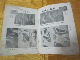 稀见民国老版“时讯期刊”《小世界》（第二十五期），小世界社 编辑，32开平装一册。“良友图书印刷有限公司”民国二十二年（1933）五月刊行，内附“时讯照片史料插图”多幅。是研究民国时期社会情况的重要史料，版本罕见，品如图！