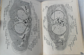 稀见民国初版一印“精品医学著作”《外科解剖学图谱》（插图本），白求恩医学院解剖学系译，32开平装一册全。“医务生活社”民国三十八年（1949）五月，初版一印刊行。内录大量解剖学彩绘插图，版本罕见，品如图。