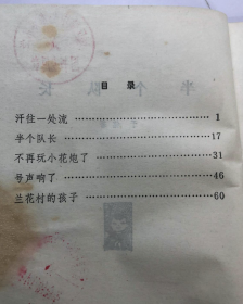 【70年代短篇小说集】《半个队长 》农村小孩是如何在农业学大寨时期做事的...有精美插图