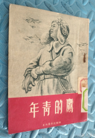 【抗美援朝空军题材小说】《年青的鹰》年轻的志愿军雏鹰与老牌二战鹰的生死对决！