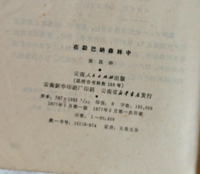 【反特题材中篇小说】《在勐巴纳森林中》展现鲜为人知的边疆军民融合如何抓蒋匪特务