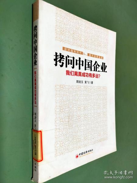 拷问中国企业 : 我们离真成功有多远？