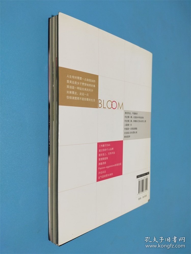 绽放：听世界500强企业女总裁聊聊职场