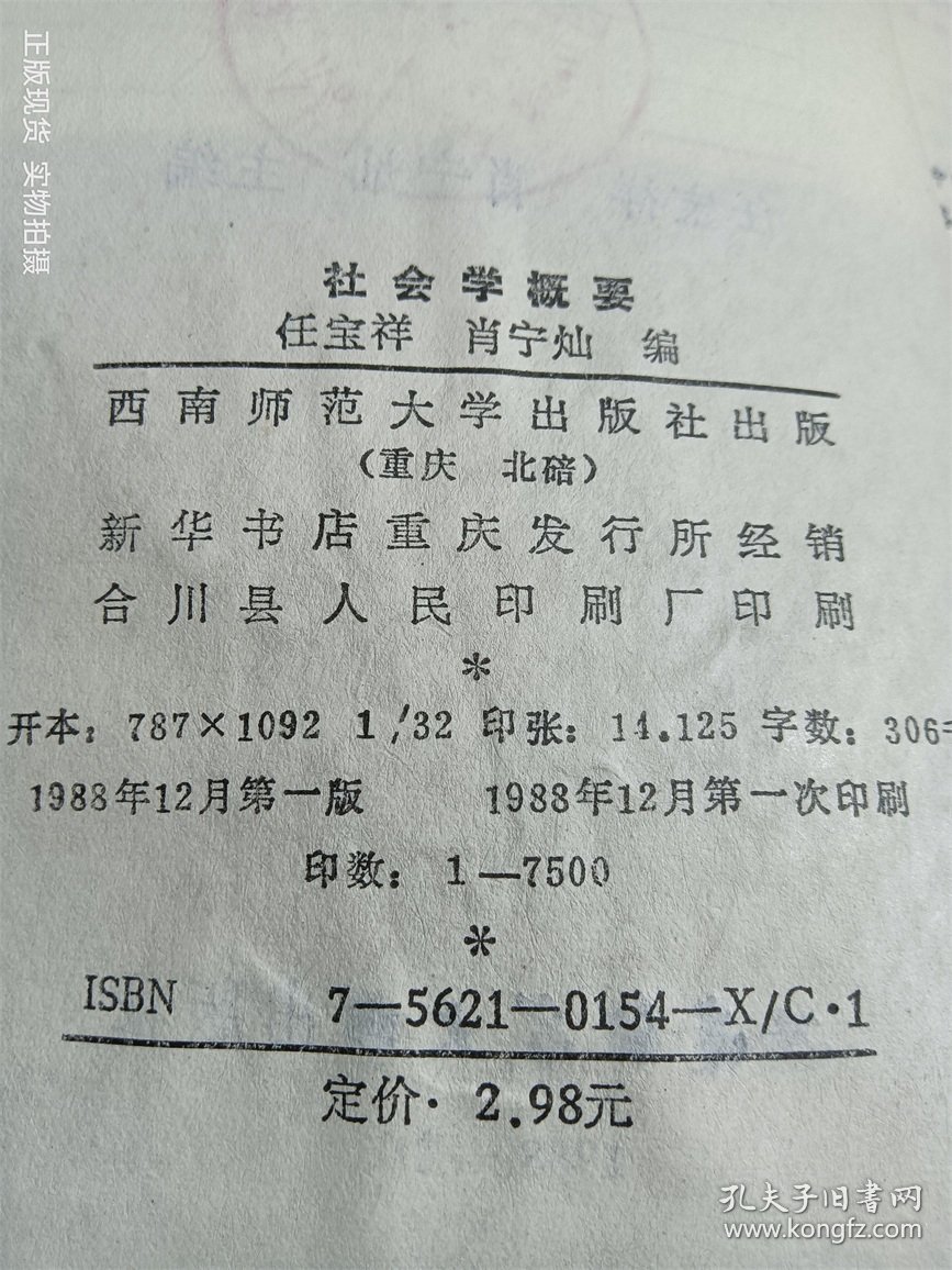 社会学概要基础与应用