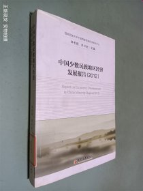 中国少数民族地区经济发展报告（2012）