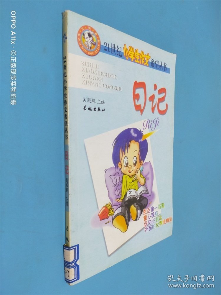 21世纪小学生作文希望丛书 日记