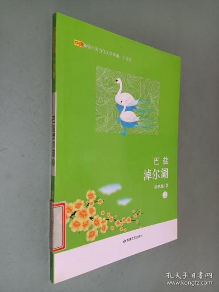 巴盐淖尔湖  上