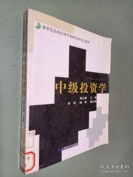 中级投资学——新世纪高校经济学管理学研究生教材