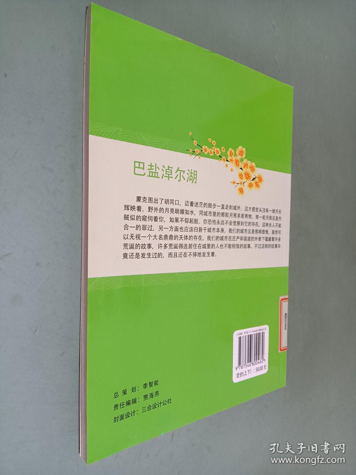 巴盐淖尔湖  上