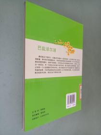 巴盐淖尔湖  上