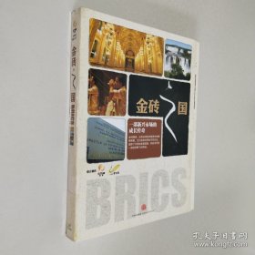 金磚之國.一部新興市場的成長傳奇