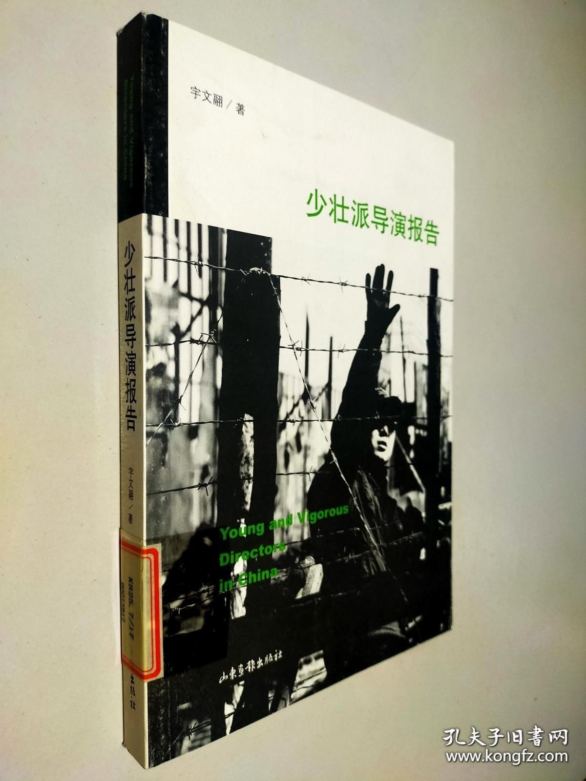 少壮派导演报告