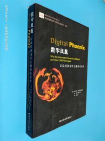 数字凤凰：信息经济为什么能浴火重生