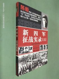 中国产党武装力量抗战纪实（全10册）