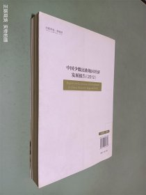 中国少数民族地区经济发展报告（2012）