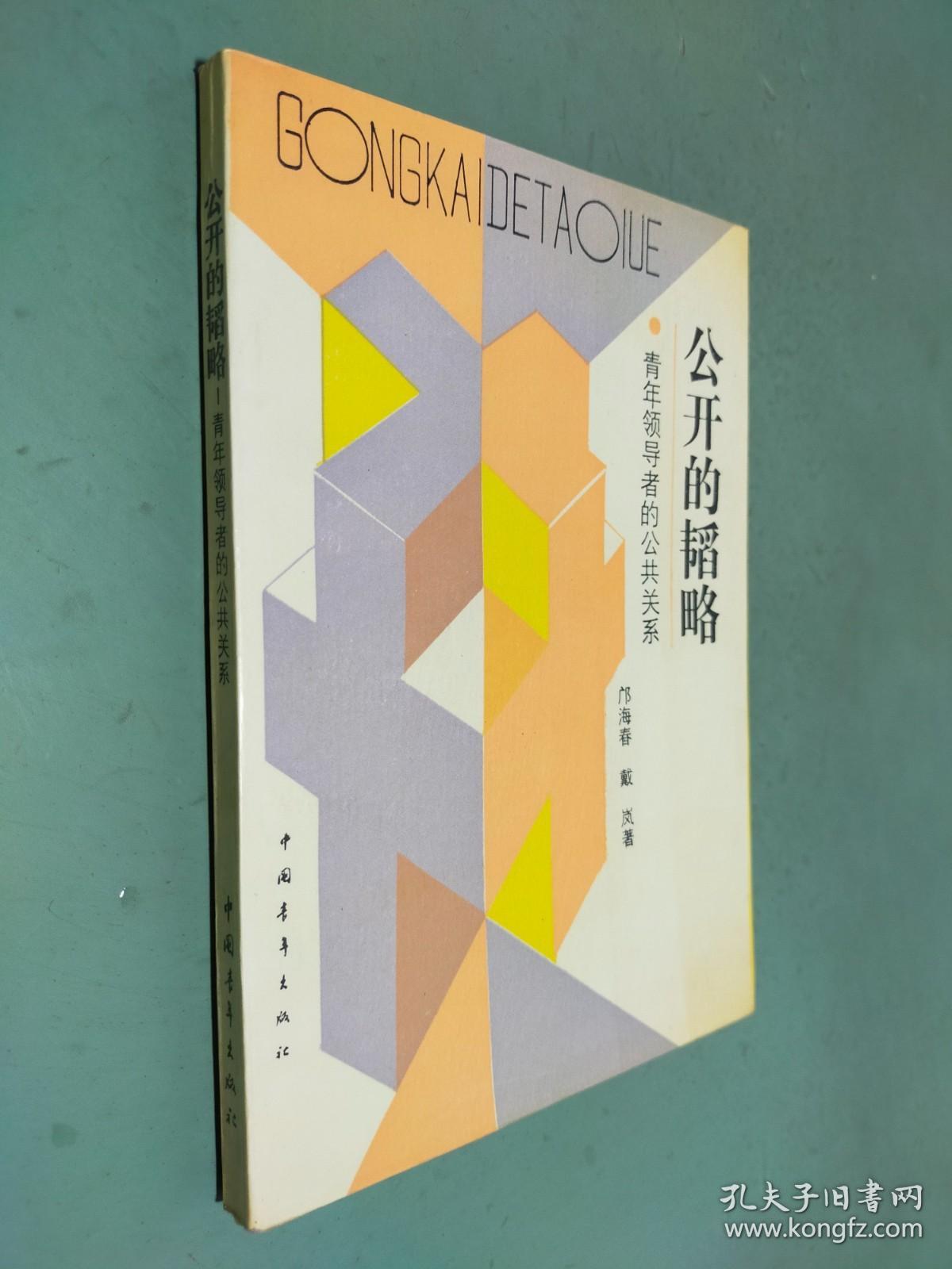 公开的韬略:青年领导者的公共关系