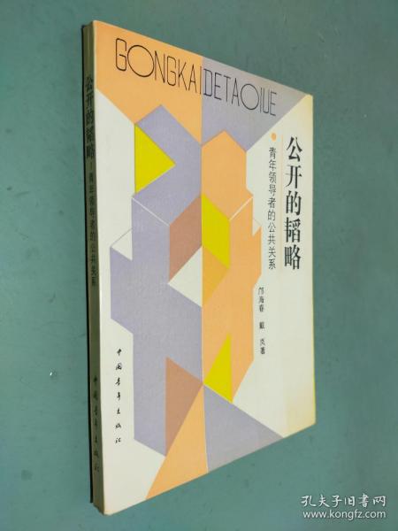 公开的韬略:青年领导者的公共关系