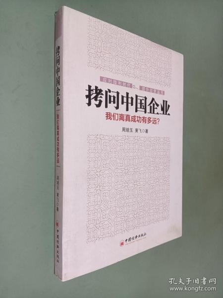 拷问中国企业 : 我们离真成功有多远？