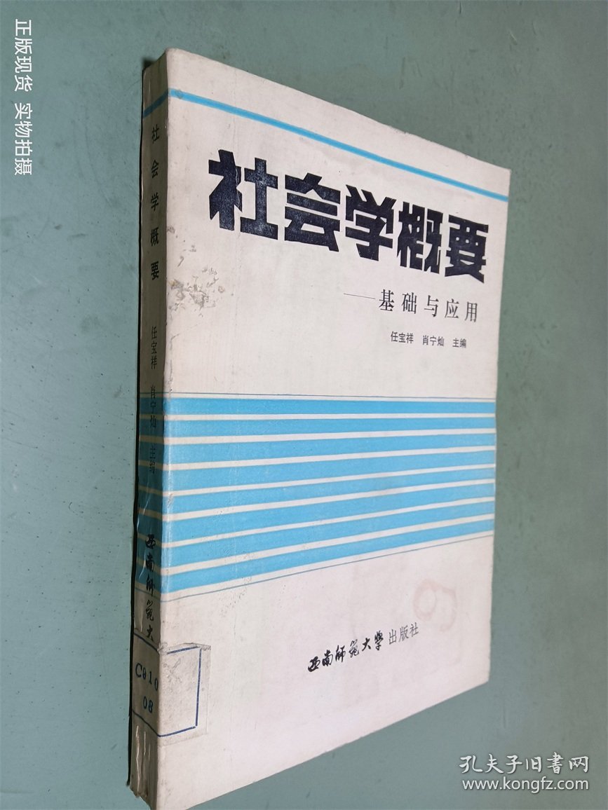 社会学概要基础与应用