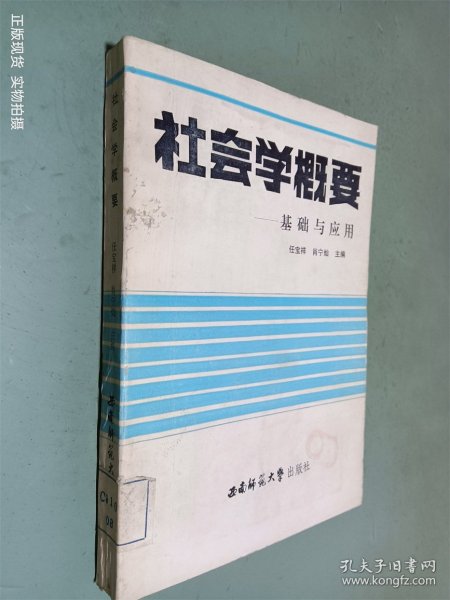 社会学概要基础与应用