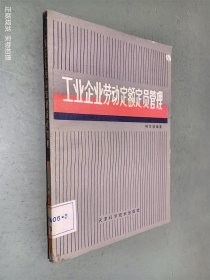 工业企业劳动定额定员管理