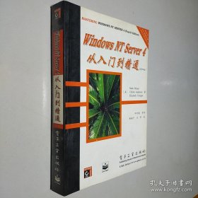 Windows NT Server 4从入门到精通:第四版